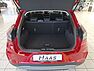Ford Puma Titanium 1.0 EcoBoost 125 PS #Navi #Massage